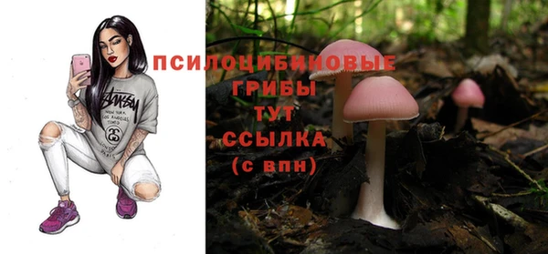гидра Богородицк