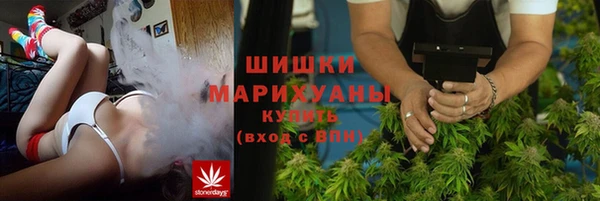 гидра Богородицк
