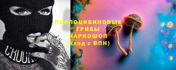 гидра Богородицк