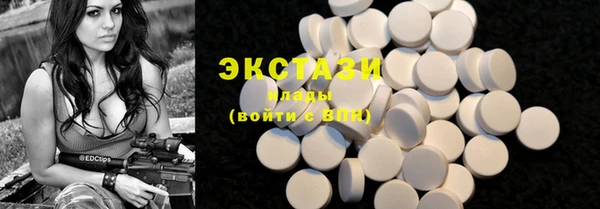 гидра Богородицк