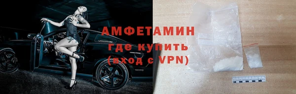 гидра Богородицк