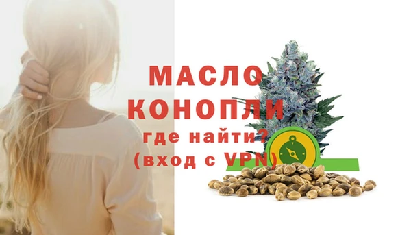 гидра Богородицк
