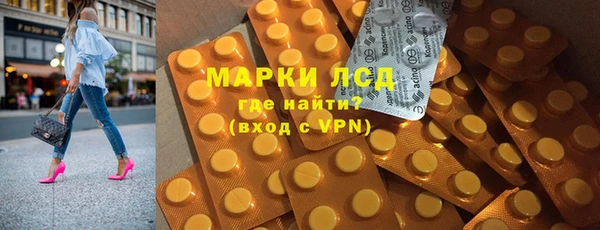 гидра Богородицк