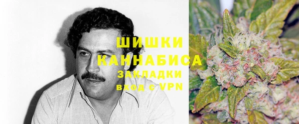 гидра Богородицк