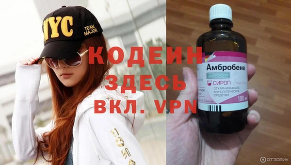 гидра Богородицк